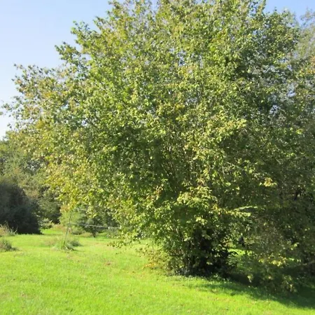 House Ferme De Honzac 1 * Tarnos